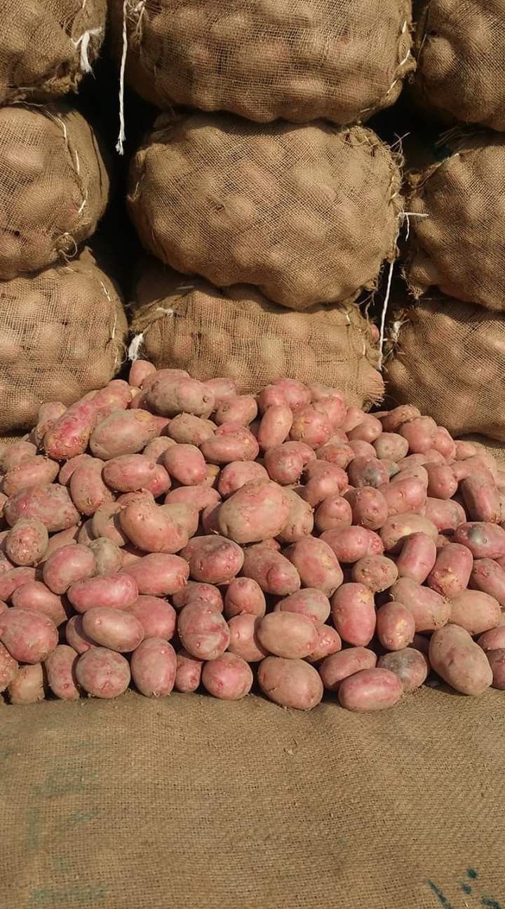 Irish Potatoes