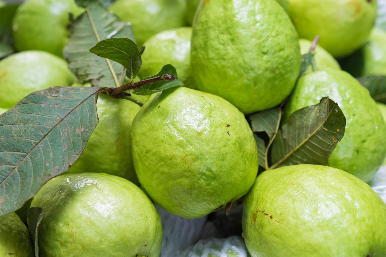 Guavas