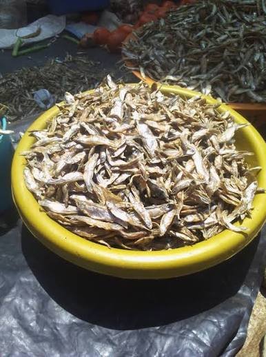 Silver Fish (Mukene/Omena)