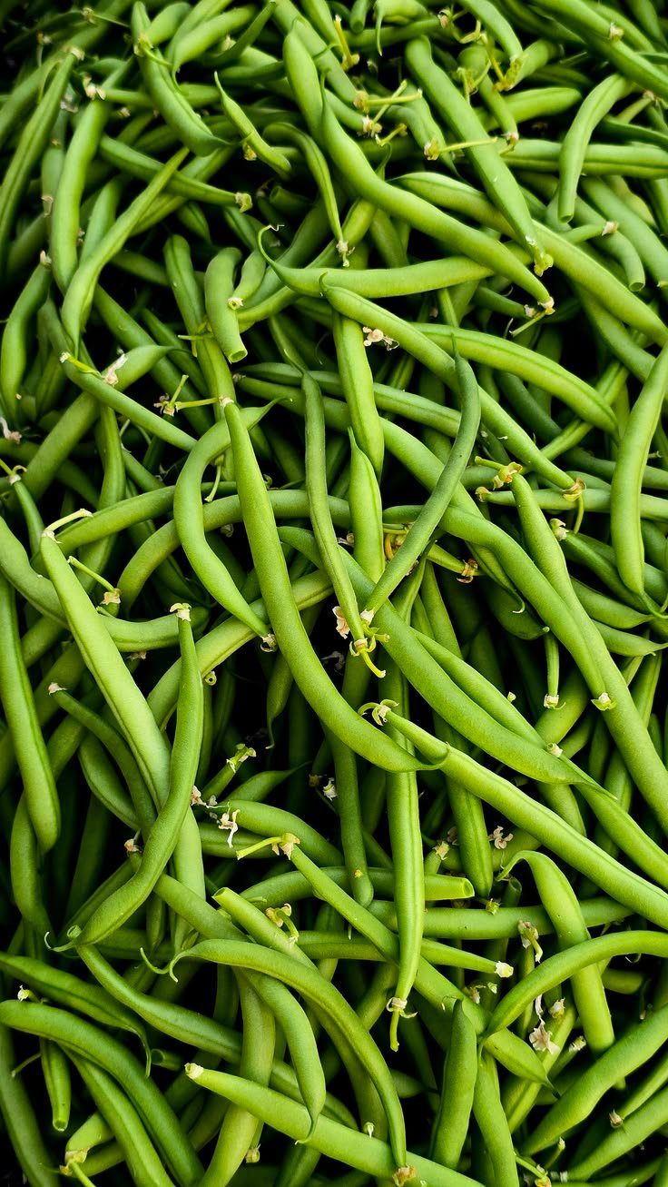 Other Vegetables
