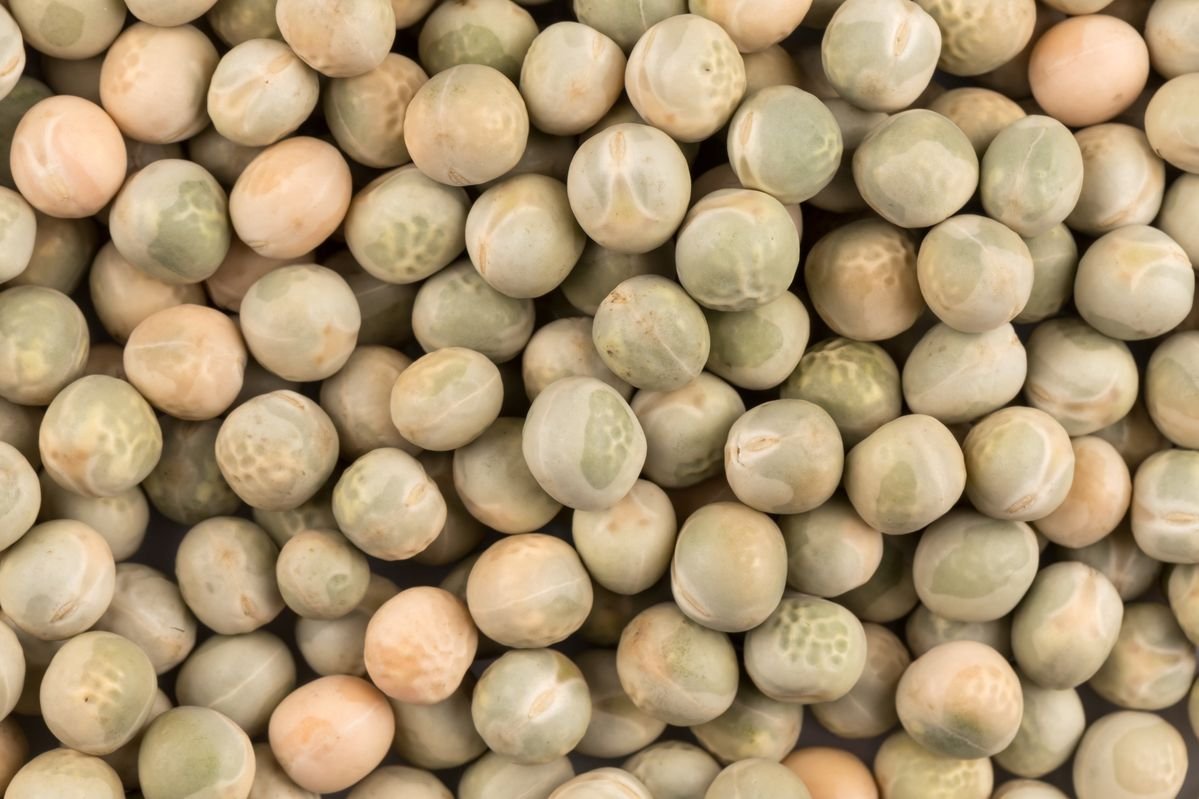 Cowpeas